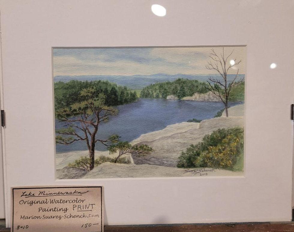 Minnswaska