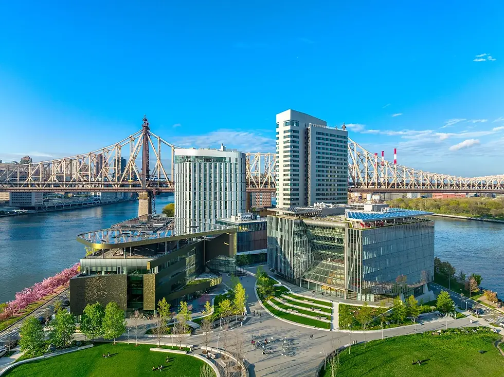 THE REAL Summit NYC: The Intersection of Finance and Mental Health