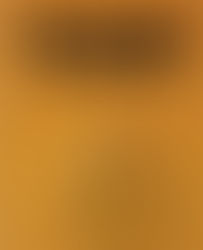 Book Characters That Outright Angered Me. Part 1