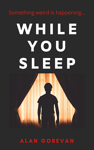 While You Sleep - Copy.png