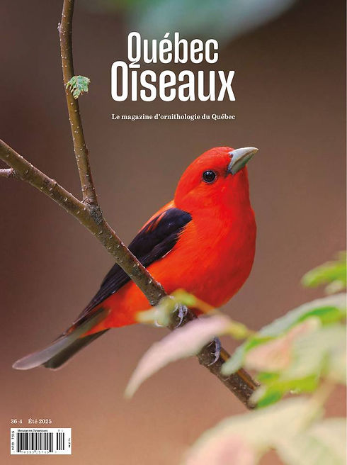 catalog-cover-large.jpeg