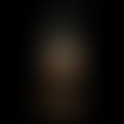 The Terminal Mirror - Rendering Reality