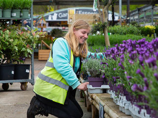 Discount info: how to benefit from the Chessington Horticultural discount as a CGS member