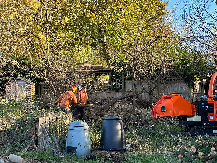 Contractors clearing the plot