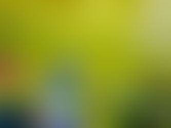 Kindergarten Disinfection