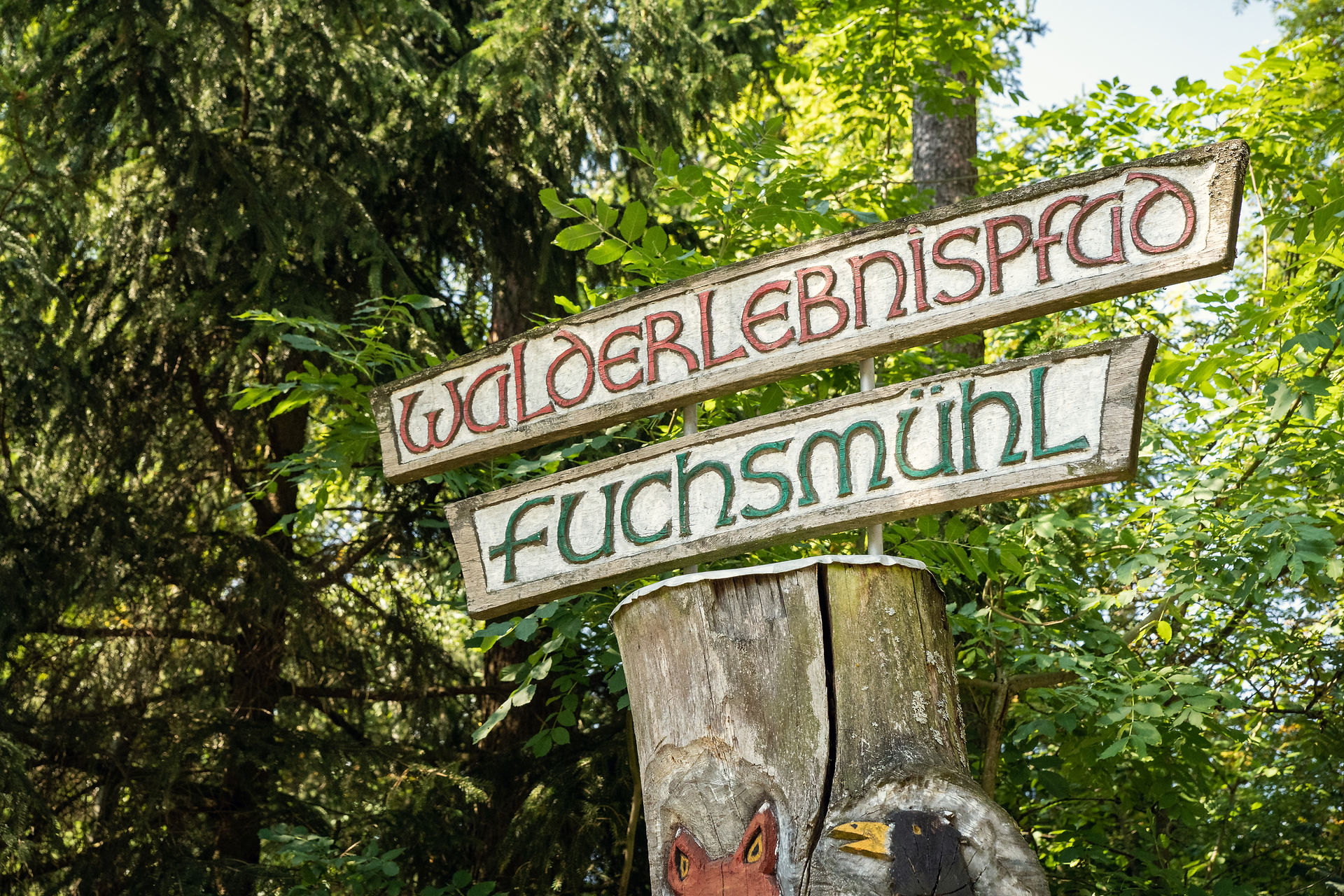 Walderlebnispfad Kinderwanderung