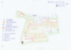Tiny House Village - Zeichnung.jpeg