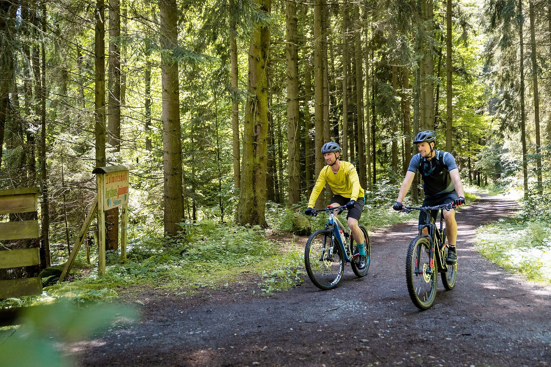 Steinwald mit Fahrrad erkunden