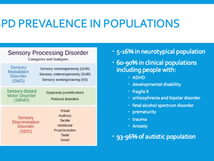 Sensory Processing Disorder