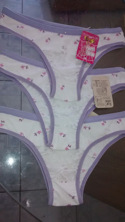 Tanga de Microfibra com Renda na Frente (C15).jpg