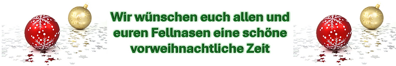Homepage Banner vorweihnachtliche Zeit.png