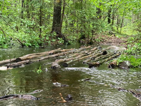 a log bridge washed out