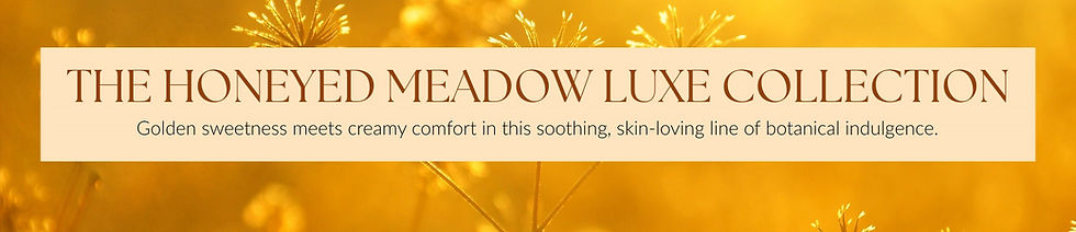 L&M Website Banners_edited.jpg