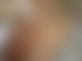 Exploring the UNESCO Intangible Cultural Heritage of Falconry: A Timeless Tradition Passed Down Through Generations