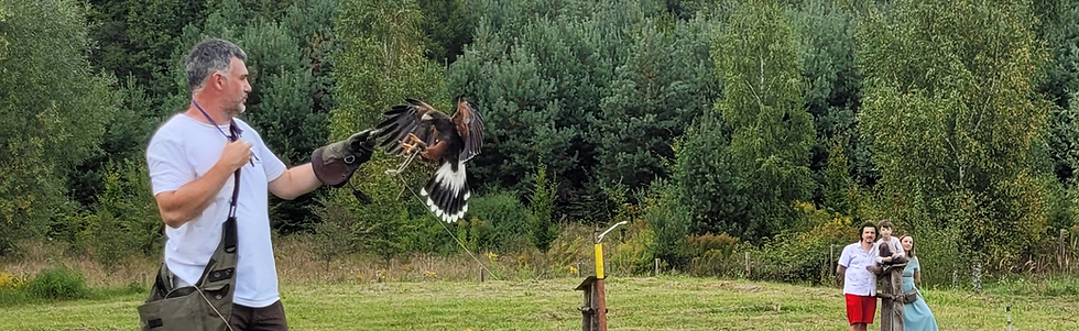 mike flying hawk.png