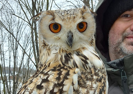 Magic the Bengal Eagle Owl