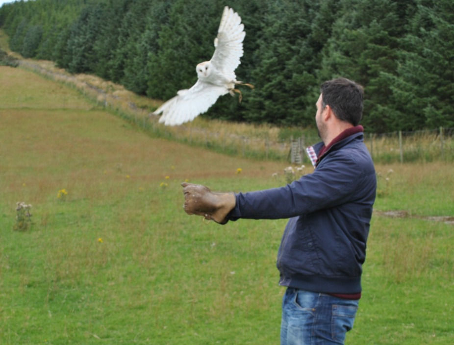 Close-up of a colorful parrot perched on a branch