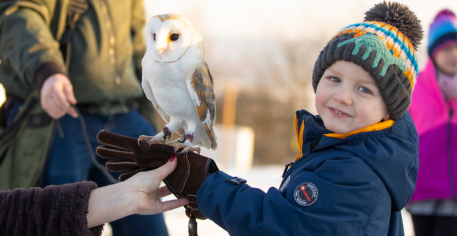Child holding glide the Barn Owl
