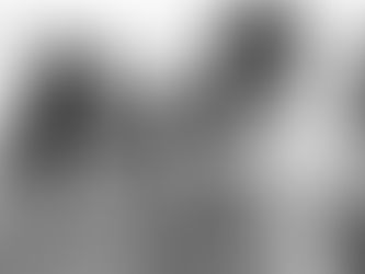 falacias sobre la regularización de la prostitución