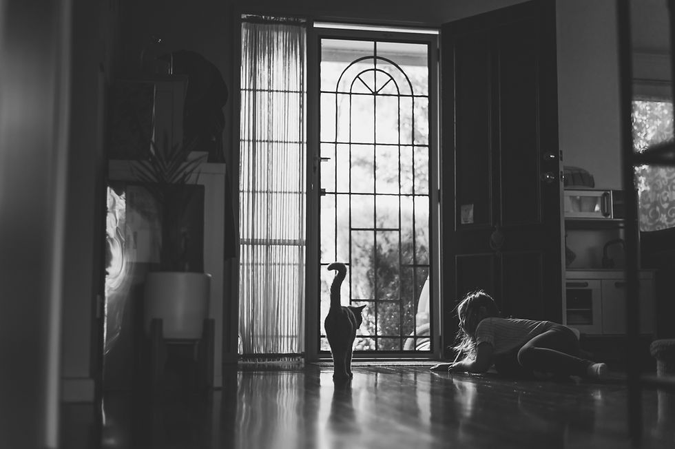 black and white image of a cat and girl at a door. the subjects are silhouetted in the light