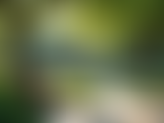 Empower Realtors: Life Coaching for Career Success