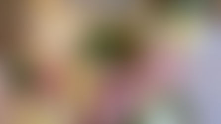 Ensuring Food Safety For Wedding Cakes: The Best Practices for Combining Flowers on Cakes