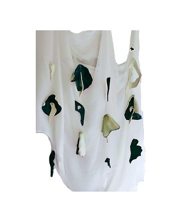 WhatsApp Image 2025-09-18 at 18.18.30 (1).jpeg