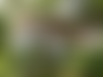 Culinary Sustainability: How Hotels Are Reducing Food Waste