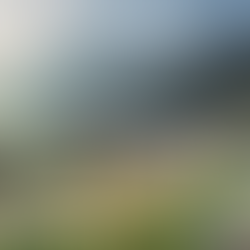 The architectural features of Hotel Hubertus highlighting its connection to nature.