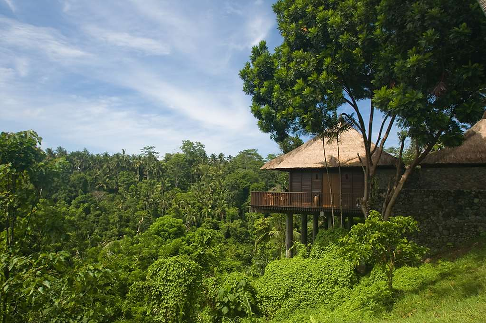 Traditional Balinese architecture blending seamlessly with the lush jungle surroundings at Alila Ubud.