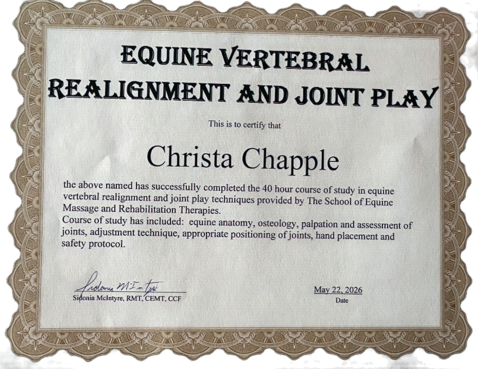 Christa_Chapple_Certificate