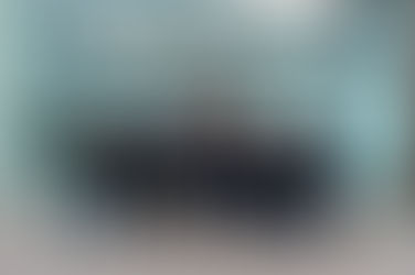 Group of 12 Universal Flooring Staff and a dog outside a building with a sign reading "UNIVERSAL FLOORING SYSTEMS" in casual attire, smiling.