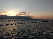 IMG-20181001-WA0015.jpg