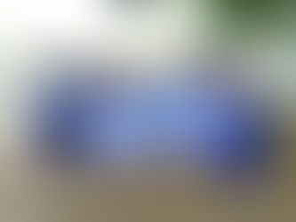 League of Queens Celebrate World Environmental Day, Donates Waste Disposal Bins to Schools