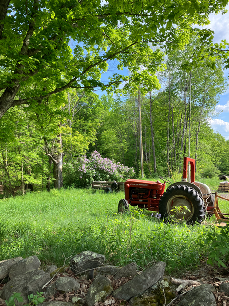 Waiting for the land to return