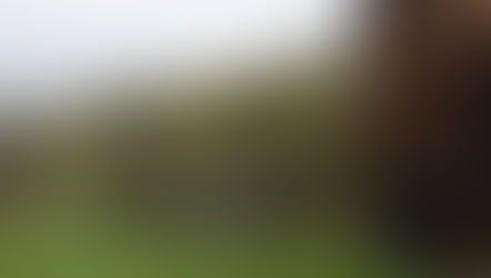 The Old Barn Renovation