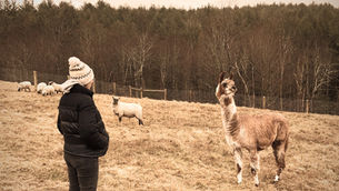 The In-Between Season