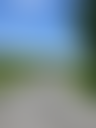 guest walking peascefully down hangearth farm road mountains in background