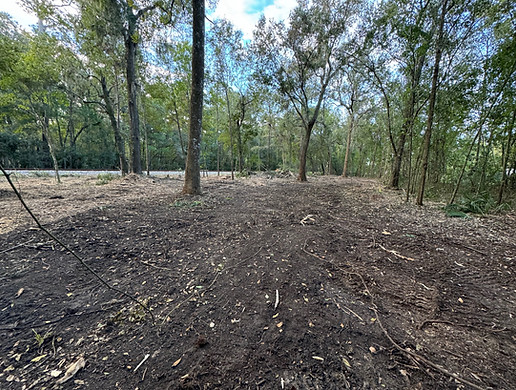 Land clearing service in Jacksonville Florida