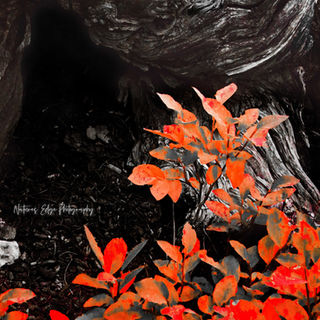 Grand Teton National Park