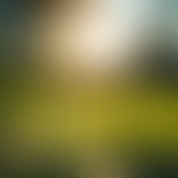 Seasonal Eye Allergies: Simple Ways to Find Relief