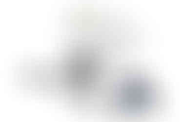 Festool TSC 55 Cordless Track Saw