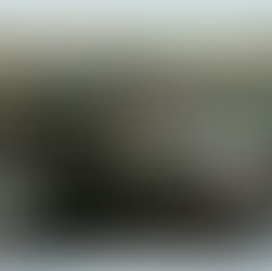 historic postcard of Cannon Falls, MN