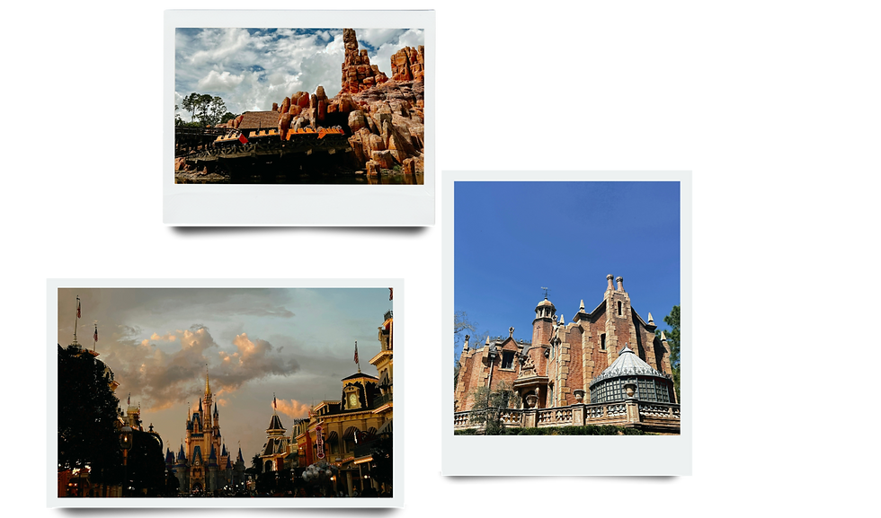 A collage of photographs of Magic Kingdom attractions, including Big Thunder Mountain Railroad, Main Street shopping, and the Haunted Mansion