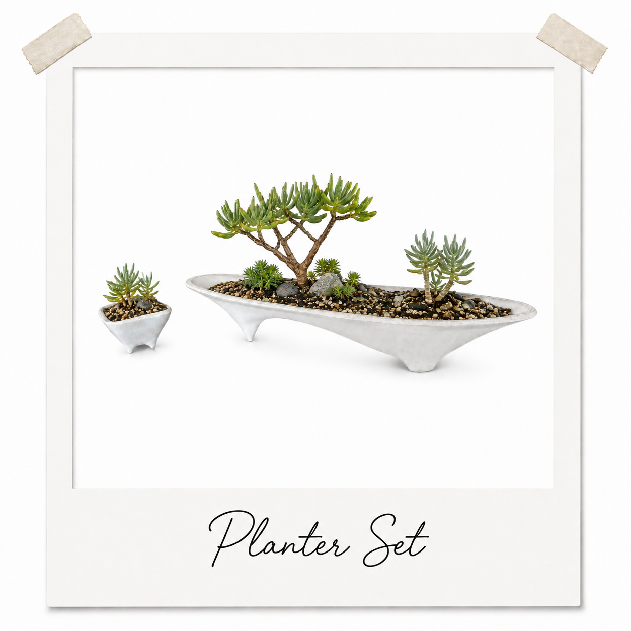 Planter Set