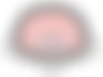 My 5 Step Self-Regulation Process