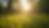 Close-up view of a peaceful nature scene with sunlight filtering through trees