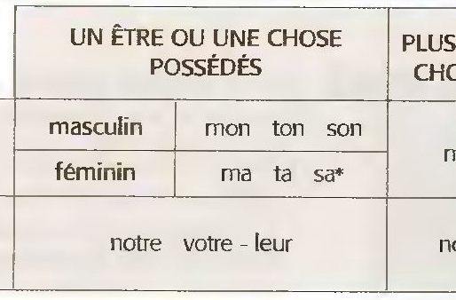 LES ADJECTIFS POSSESSIFS