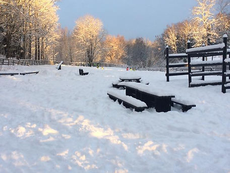 vinter.jpeg