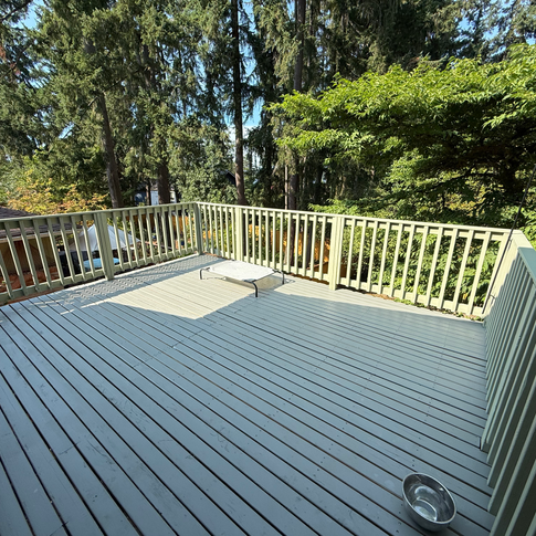 deck restoration and painting after